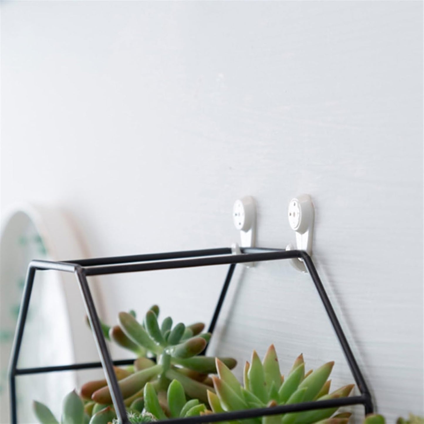 vases Wall Hanging Succulent Plant Flower Pot Table Ceramic Dish Vase Decor a Flower Pot Plant/Flower Pot Planter Garden Flower vase(Black)