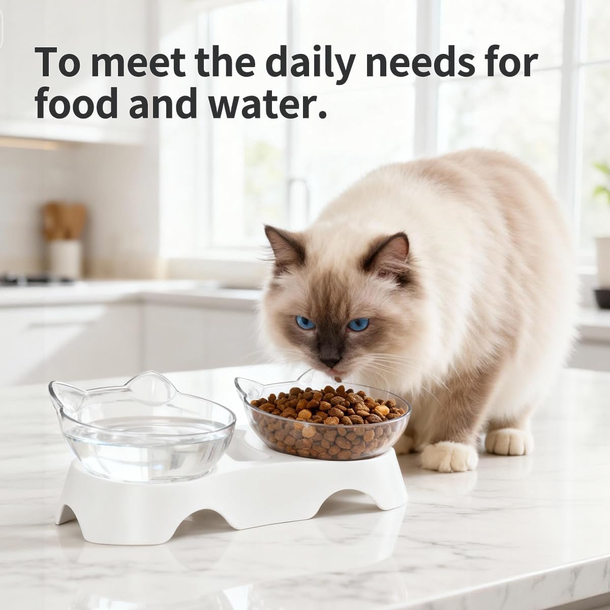 MILIFUN Cat Bowls, Cat Food Bowls Elevated Tilted, Anti Vomiting Kitty