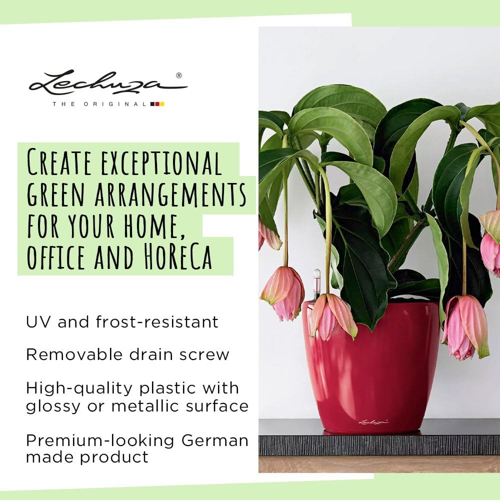 Lechuza Self Watering Plant Pot Classico 21 LS Garden Flower Indoor Ou