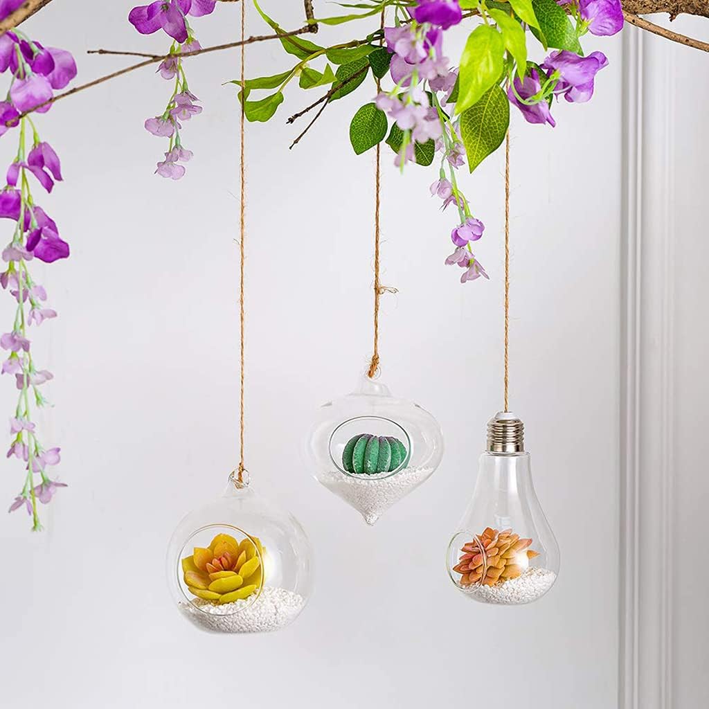 Water Plant Containers Light Bulb Shaped Flower Pots Glass Flower Hanging Glass Plant Vase Gift Kitchen