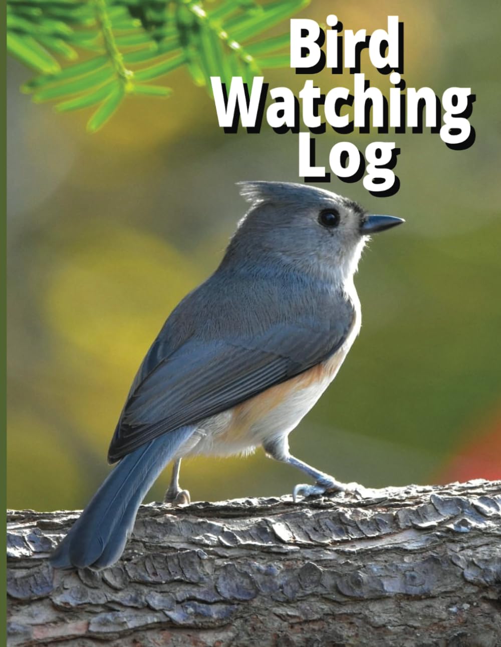 Bird Watching Log: Record Arrival and Departure of Migratory Birds, Record Bird Sightings, Worksheets to Help Identify New Birds, Life List