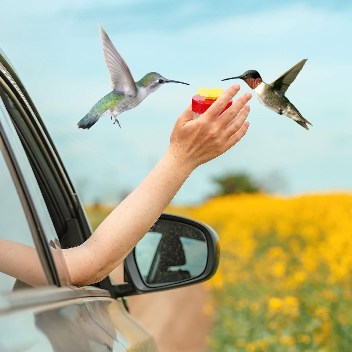 8 Pcs Hummingbird Feeder Handheld Window Flower Mini Hand Held Humming