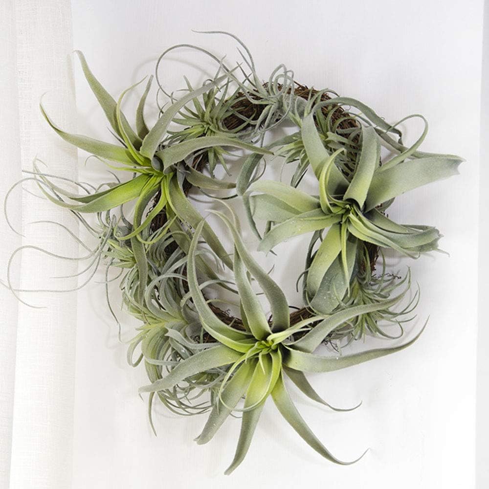 ChezMax Artificial Flocking Tillandsia Air Plants Pineapple Grass Faux Succulents Bromeliads Home Garden Decor 2Pcs 4#