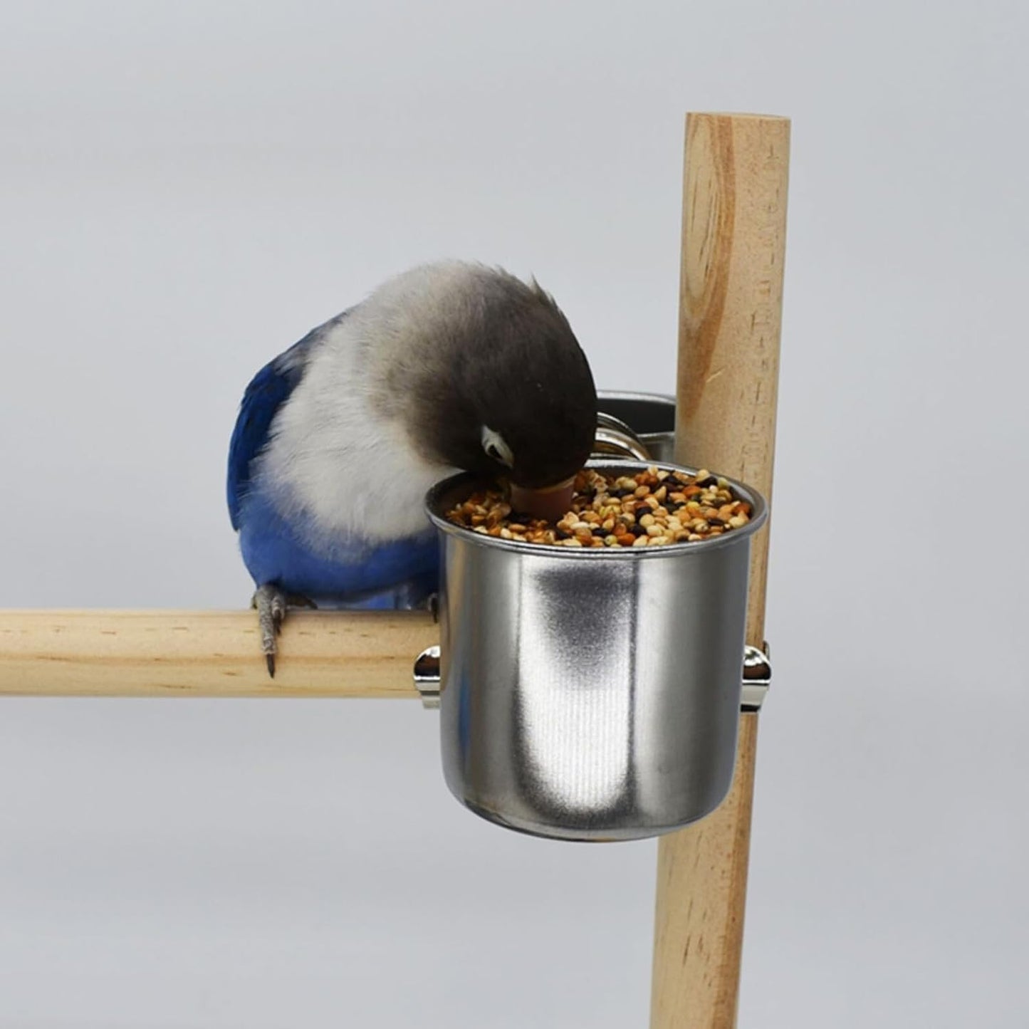 PRETYZOOM 2pcs Stainless Steel Bird Feeder Cups with Clip Holder Small and Medium Parrot Food Bowls for Bird Cage Feeding Sturdy Cage Food Holders for Parrots