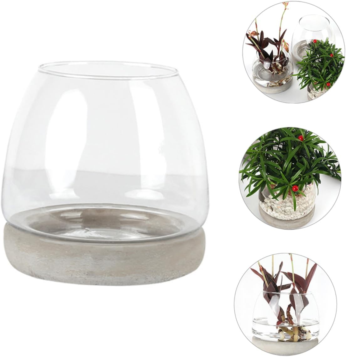 PRETYZOOM Cement Bottom Glass Vase Flower Container Decor Modern Hydro