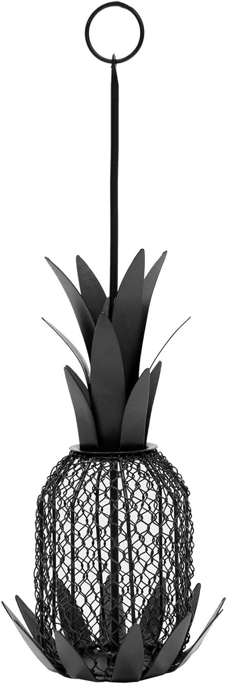 Achal Designs Pineapple Birdfeeder