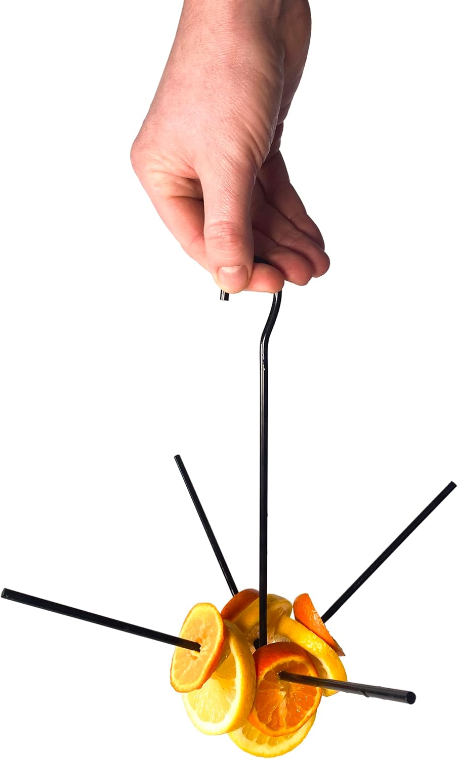 Hanging Fruit Feeder for Birds for Outdoors, Garden or Large Cage - Foraging Food Holder, Black