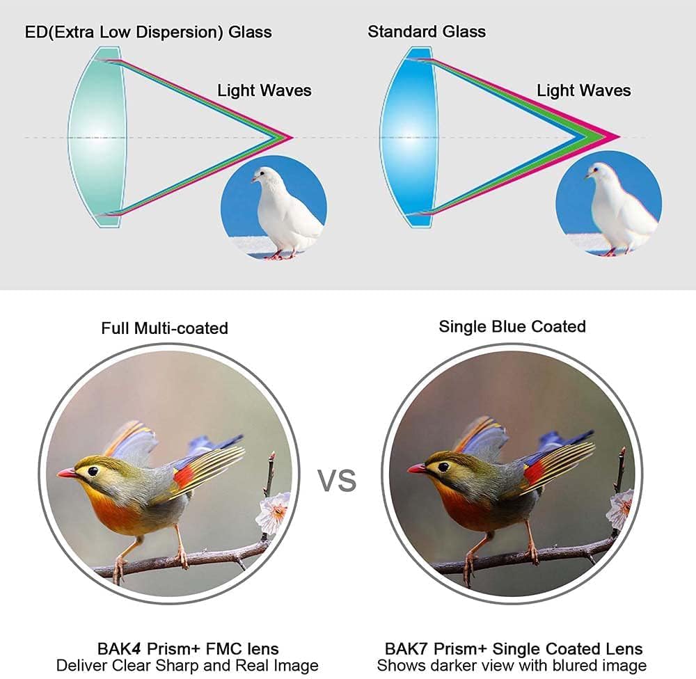 20-60x 80mm ED Spotting Scope for Adults with Smartphone Adapter, Extr