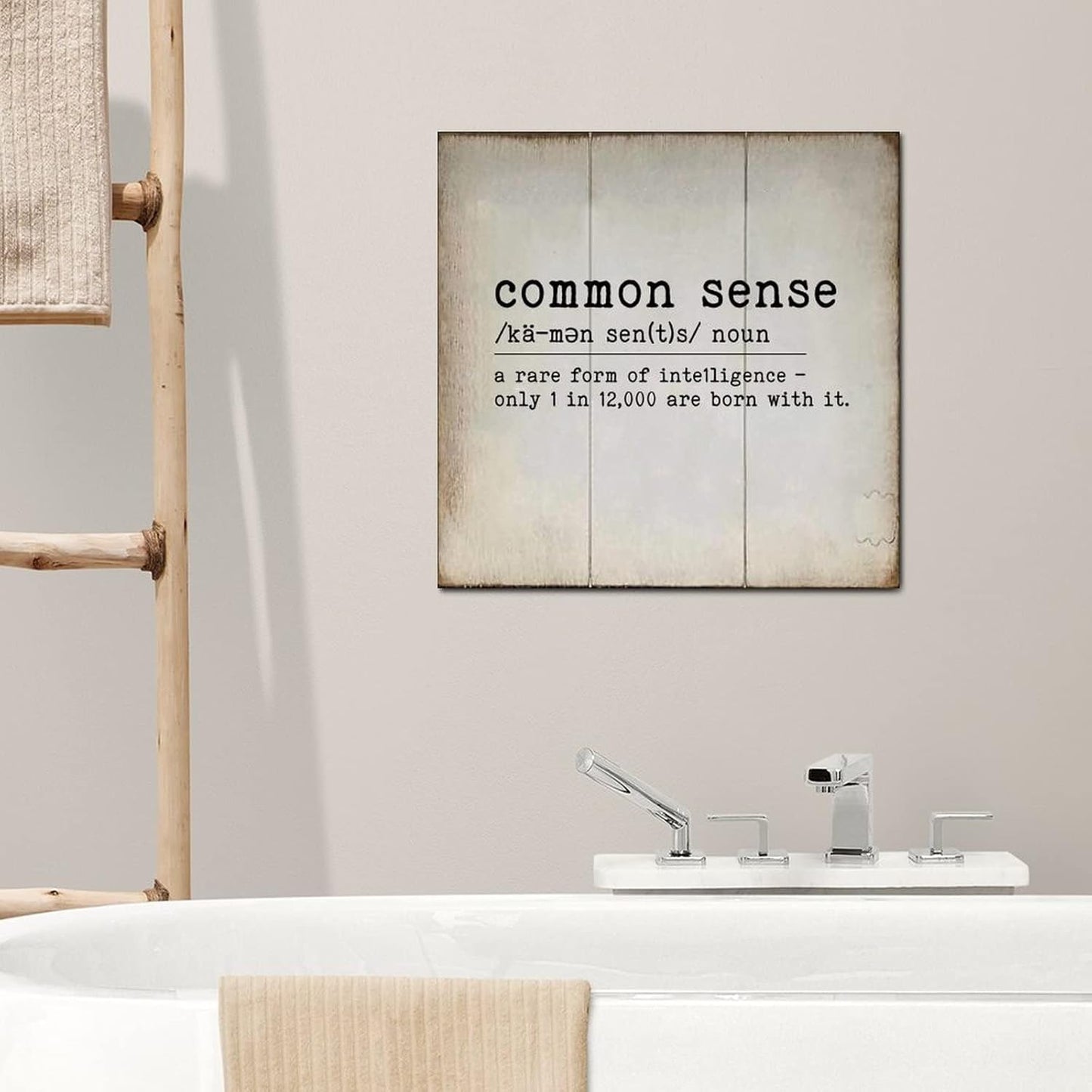 LITTLEGROVE SEEDS Vintage Wood Sign Common Sense Wooden Sign Common Sense Farmhouse Wall Art Rustic Wall Decorations for Living Room for Home Man Cave Garden Bars Cafes 12x12in