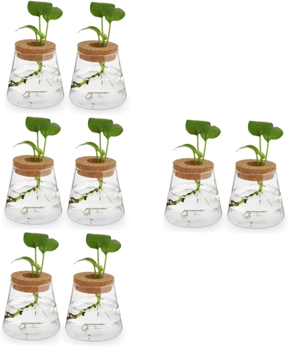 BESTOYARD 8pcs Glass Hydroponics Planter for Desktop Decoration Elegan