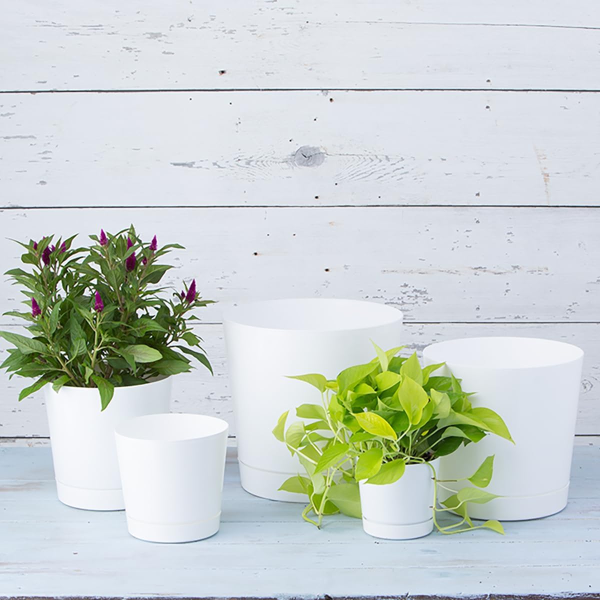 Novelty Majestic Full Depth Cylinder Pot, Glossy White, 12-Inch (10122