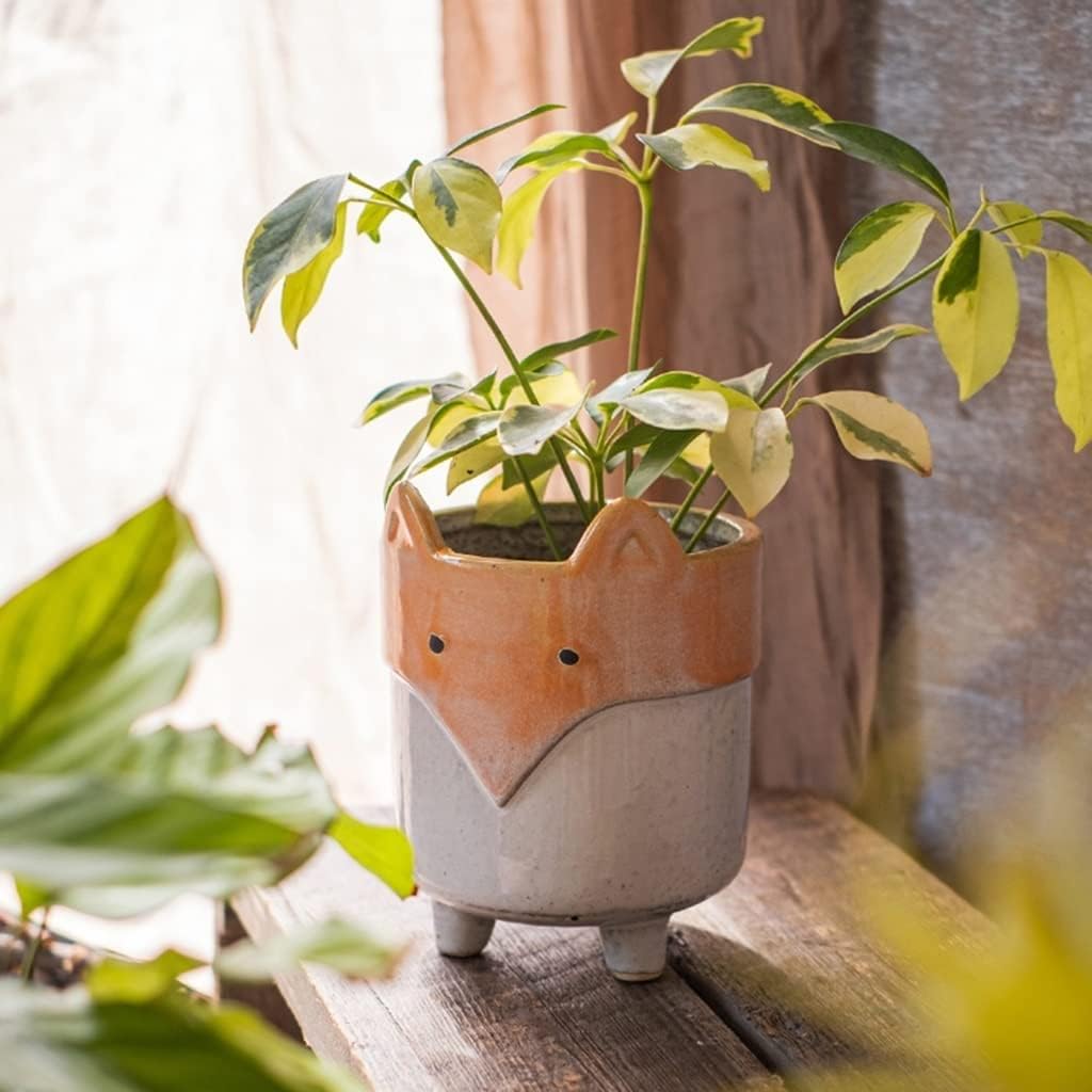 Planter Cute Ceramic Fox Flower Pot Small Plant Pots Unique Pots for P