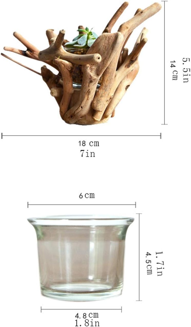 Planter Pot Solid Wood Flower Pot Unique Root-Shaped Planter Pots Suitable for Indoor and Outdoor Succulent Flower Pots(Plants NOT Included) Planting Pot Flower Pots