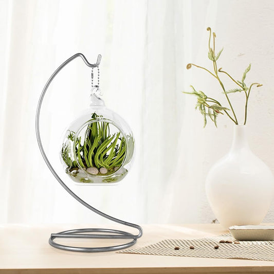 YY YEARCHY Ornament Display Metal Air Plant Flower Pot Holder Iron Pothook Stand for Hanging Glass Terrarium Globe Ball (Silver 5Pcs)