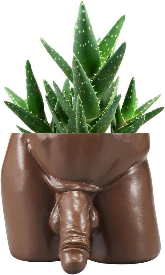 Body Vases for Decor Penis Planter Cool Decor Pot, Male Plant Pots — Body Vase Christmas Valentine's Day Gift Unique Planter (Brown, L)