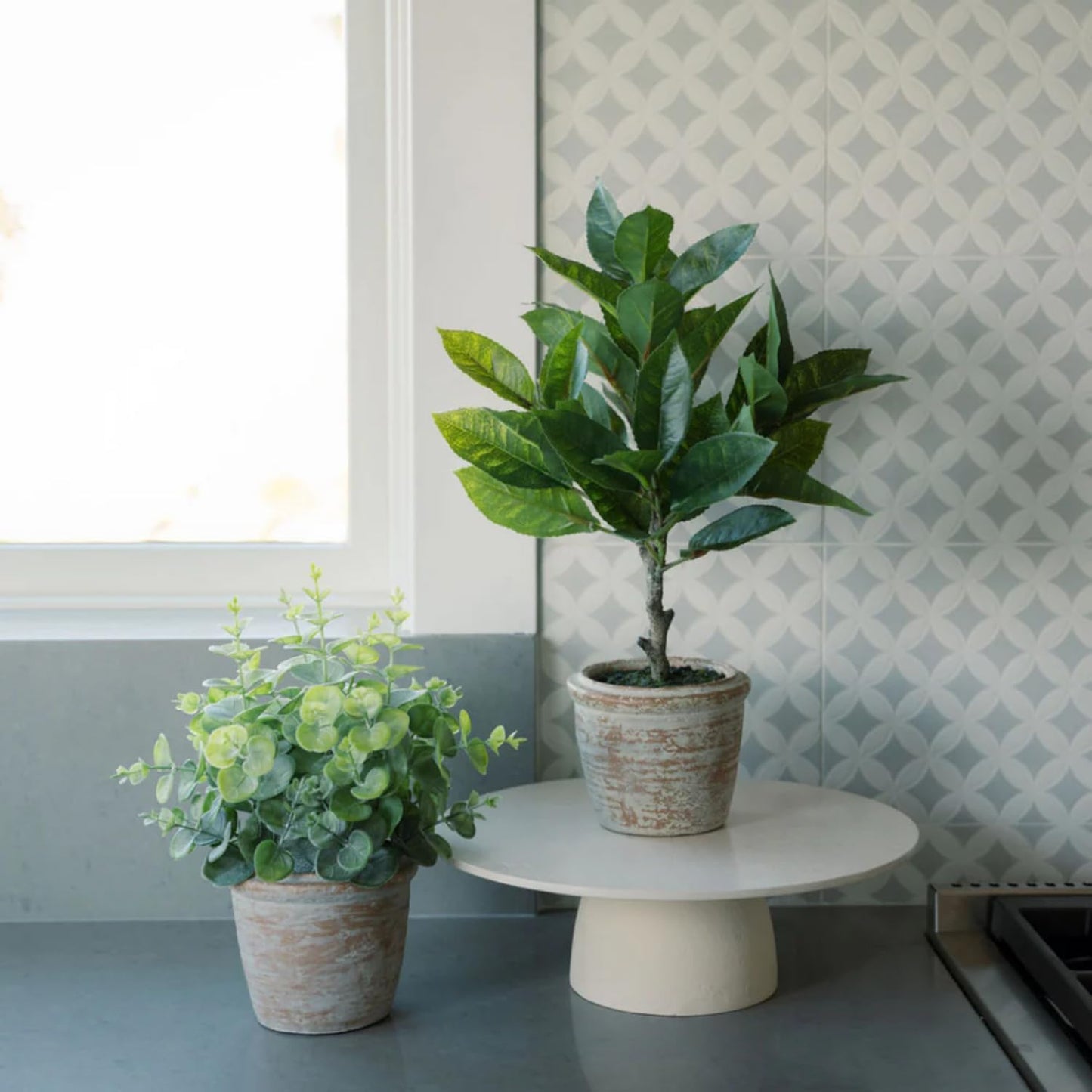 CG Hunter Faux Eucalyptus & Citrus Topiary, Set-of-2 Premium Artificial Indoor Plants, Enhances Interior Design, Lifelike-Leaves Create Realistic Natural Appearance, Terracotta Planter Pot Included