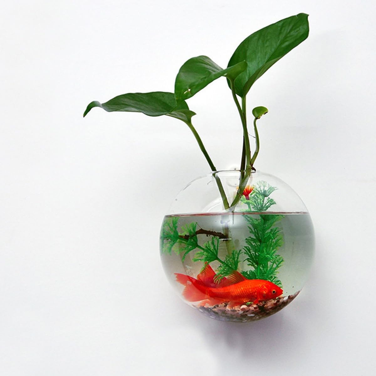 Hanging Wall Planter Glass Vase Set, 4pcs 10cm Hydroponic Terrarium Gl