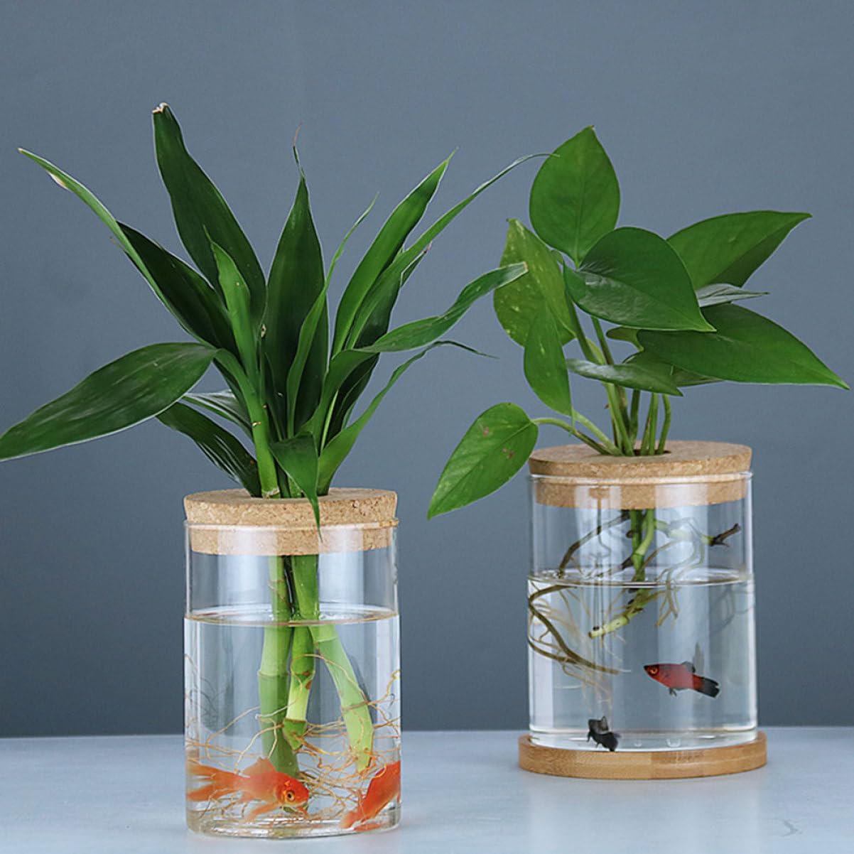 PRETYZOOM 2pcs Decorative Glass Vase with Wooden Cork Small Hydroponics Flower Pot for Indoor Greenery Stylish Planter for Home and Office Decor