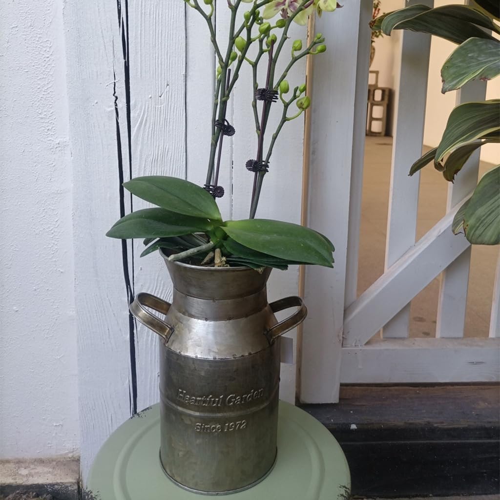Metal Milk Can Antique Tin Bucket Flower Vase Garden Backyard Table De