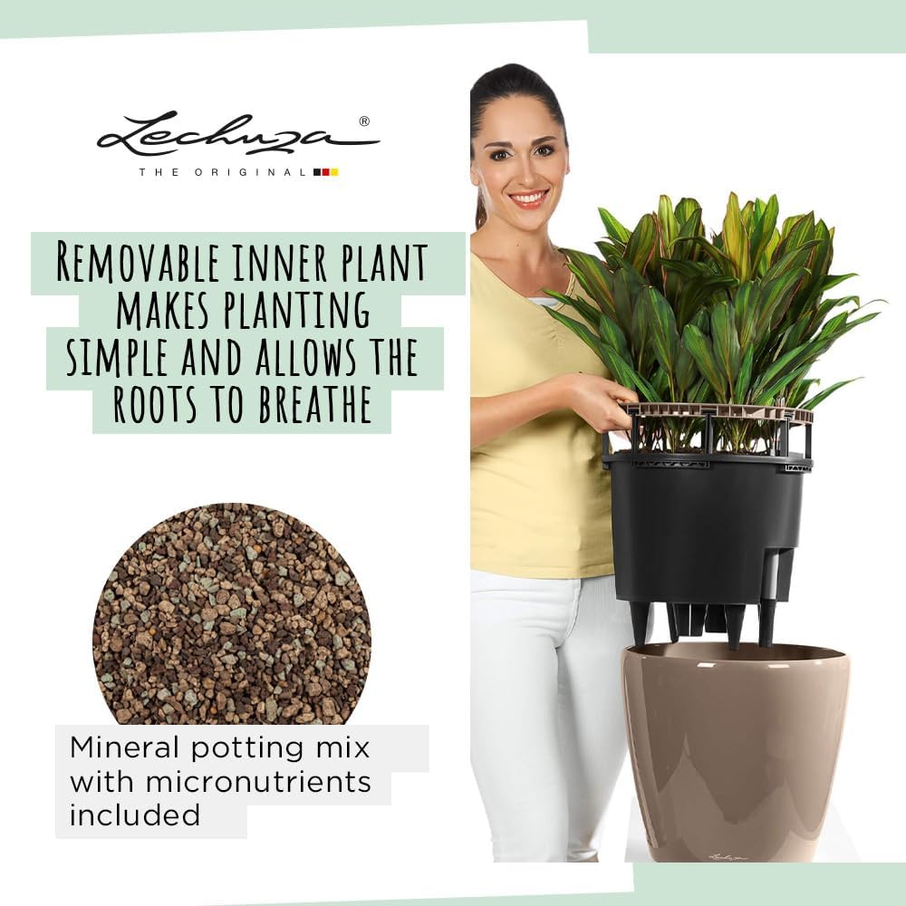 Lechuza Self Watering Plant Pot Classico 21 LS Garden Flower Indoor Ou