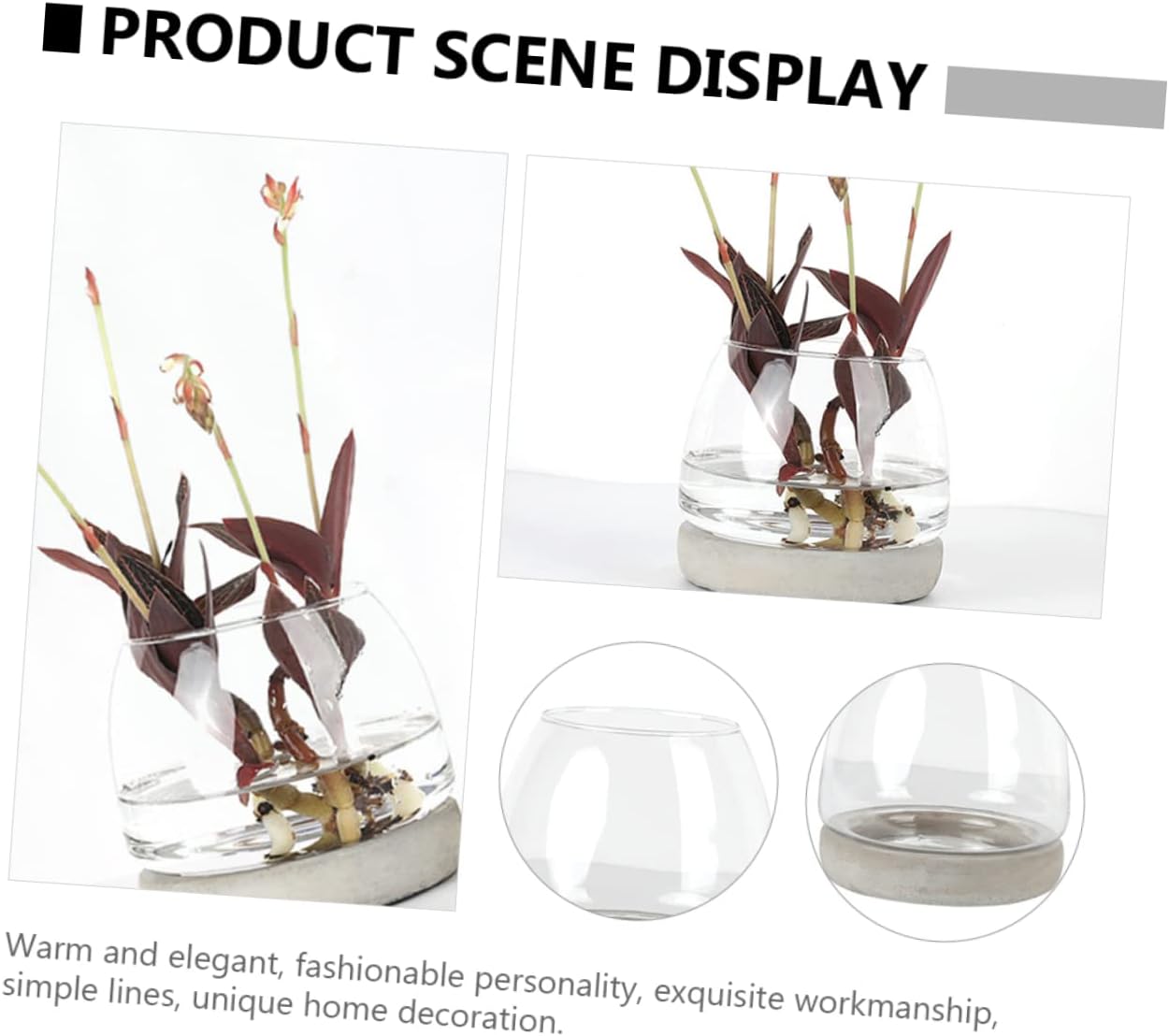 PRETYZOOM Cement Bottom Glass Vase Flower Container Decor Modern Hydro