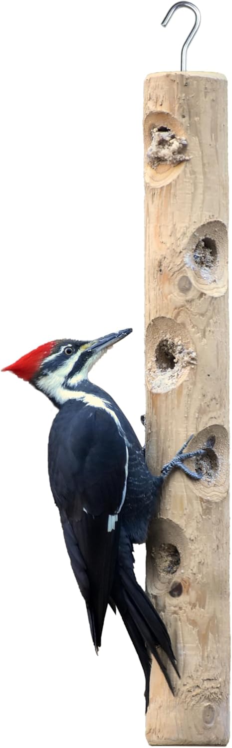 Kettle Moraine Large Cedar Suet Log Feeder for Woodpeckers and Chickadees