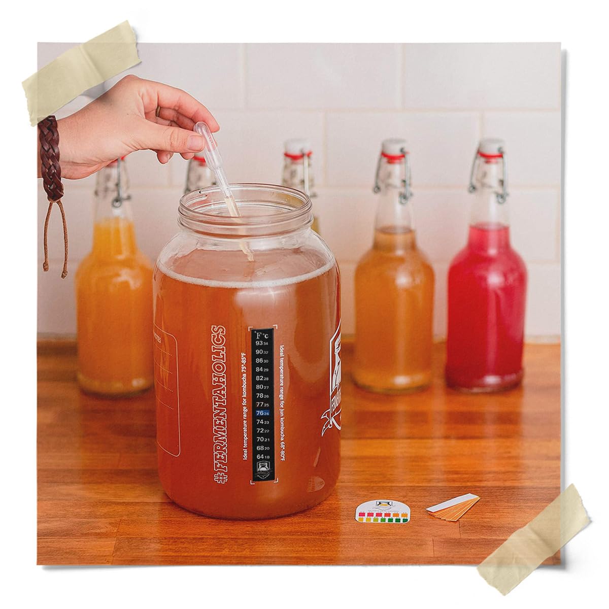 Fermentaholics ORGANIC Kombucha SCOBY With Twelve Ounces of Starter Tea - Live Starter Culture - Makes A One Gallon Batch - 1.5 Cups of Strong Mature Starter Tea - Brew Your Own Kombucha (1 Pack, 1, Count)