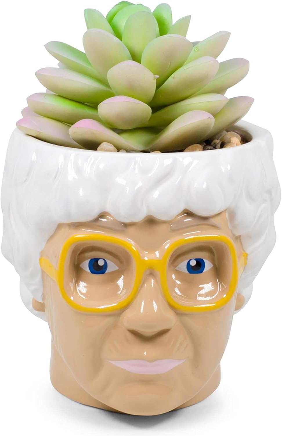 Silver Buffalo The Golden Girls Sophia Face Mini Ceramic Planter Decor | Official TV Show Collectible | Small Flower Pot for Indoor Plants, Includes Artificial Succulent | 3 Inches
