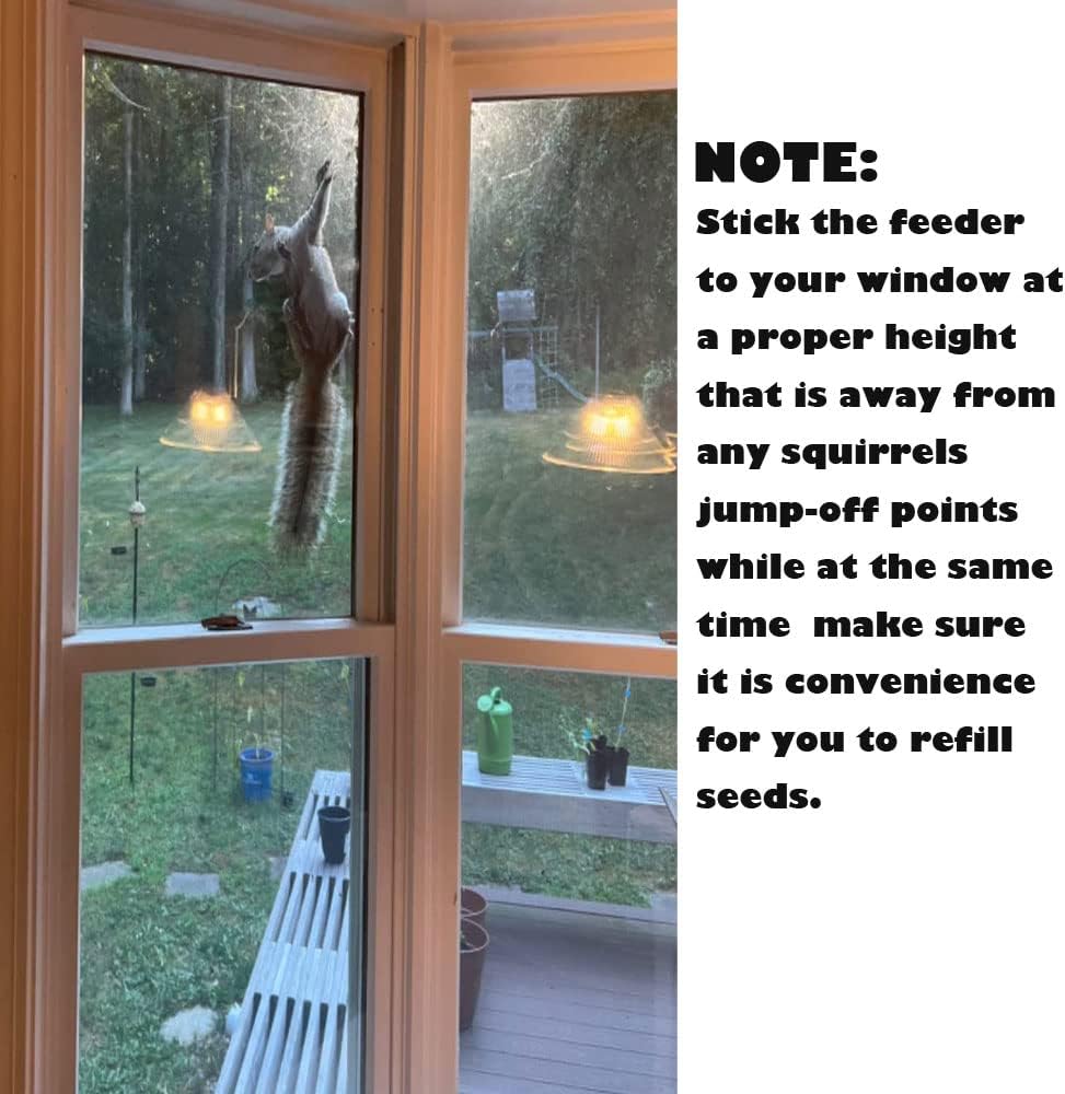 Bird Feeder Birds House for Outdoor, Window Bird Feeder with Strong Suction Cups for Wild Birds, Cardinal, Bluebird