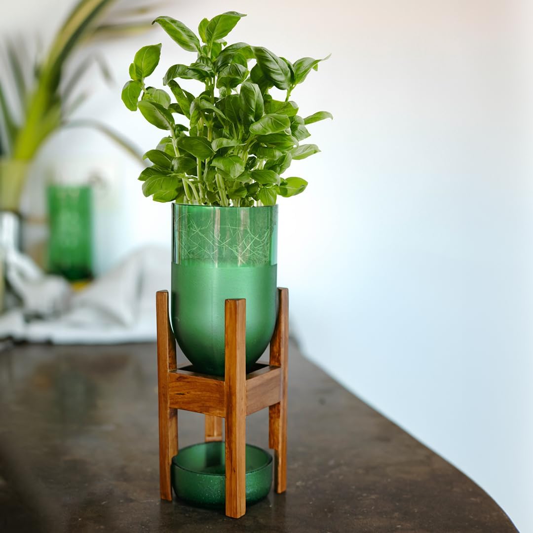 IWAS Upcycled Teak Wood Planter | Pilo High Green | 21.5 cm Height | Sustainable Indoor Plant Pot Stand with Teak Wood Base | Eco-Friendly & Handcrafted Home Décor