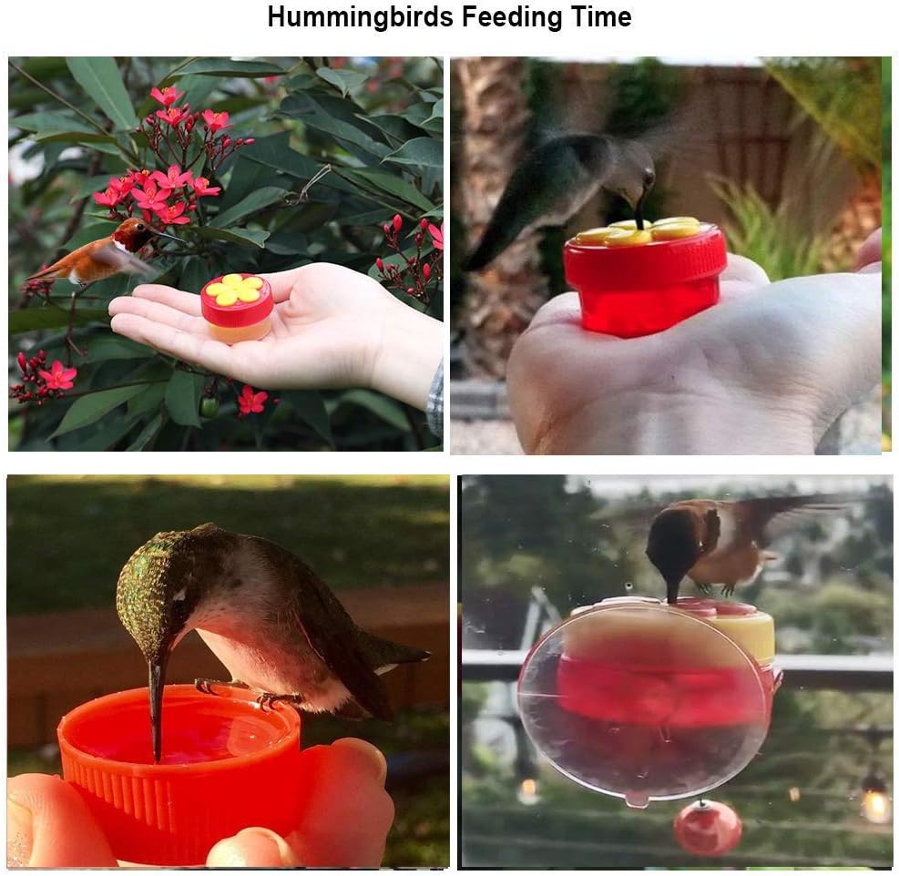 Hummingbird Feeder for Window Small Handheld Bird Flower Feeders with Perch Cleaning Brush (2 Pack)