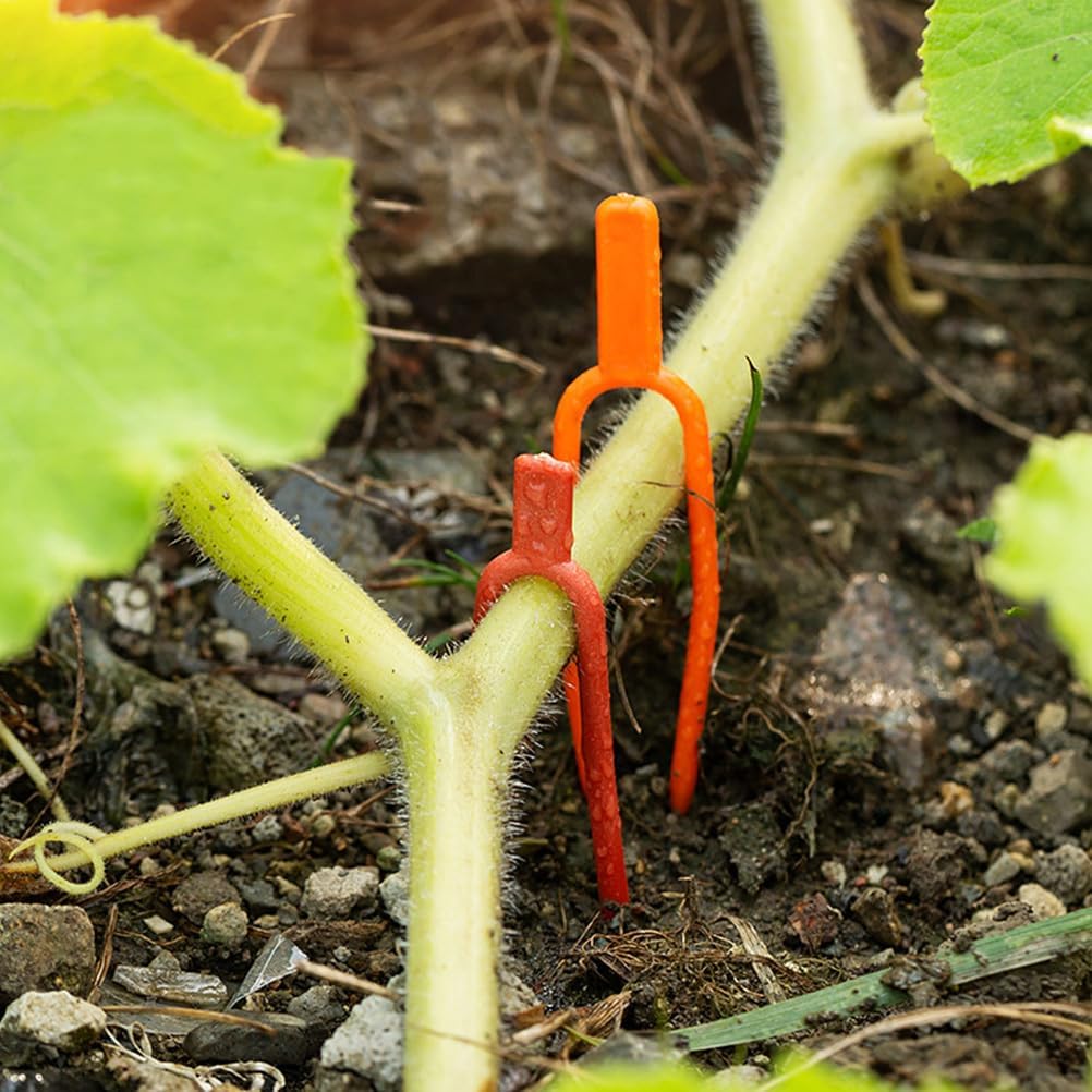 GANAZONO 400 Pcs Vine Fixed Fork Wire Holder Wire Holders for Cords Strawberry Plants Strawberry Fixing Clips Plant Ties Garden Tool Accessories Fixed Forks for Plant Gardening Supplies Tie