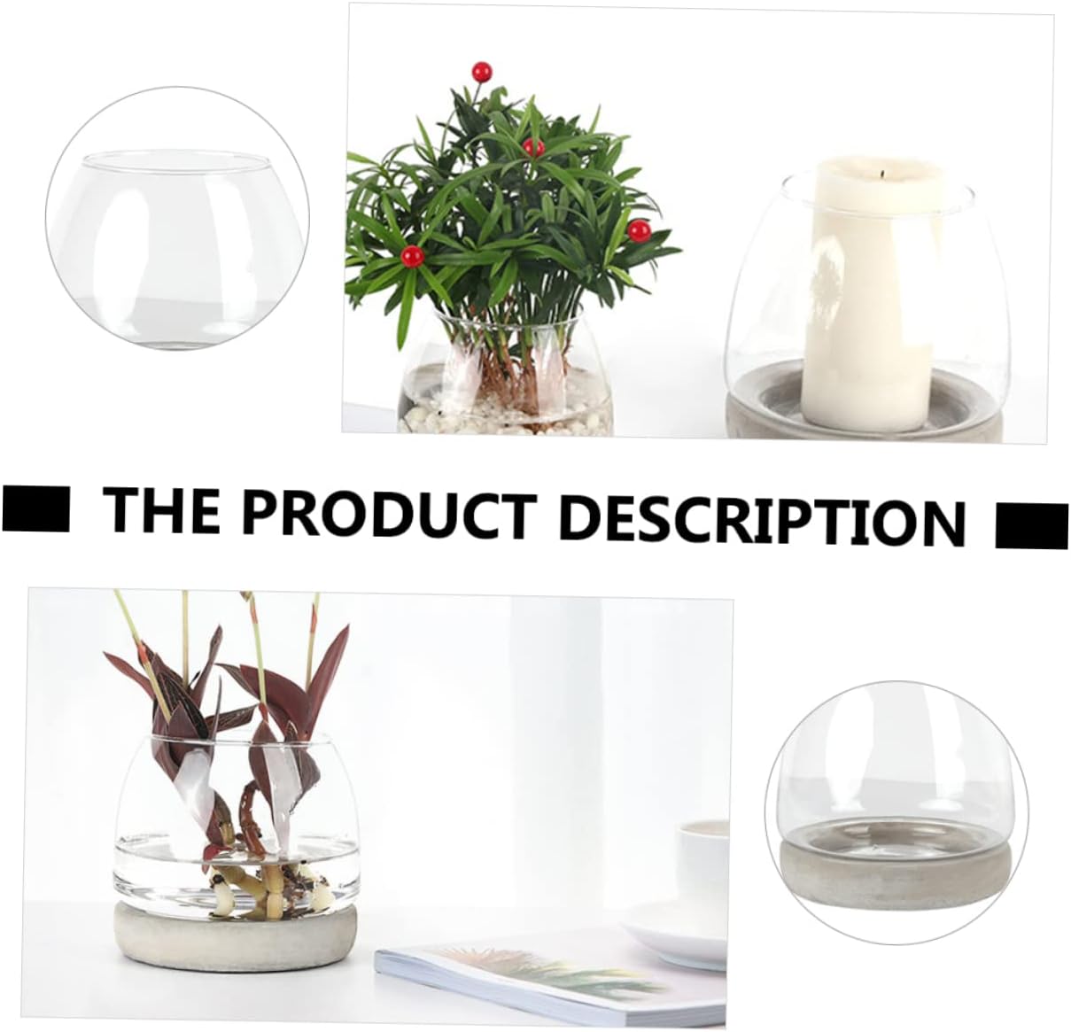 PRETYZOOM Cement Bottom Glass Vase Flower Container Decor Modern Hydro