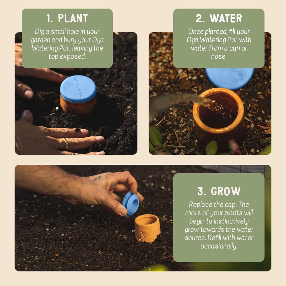 Growoya Garden OYA Small Watering Pot Plant Irrigation System Sustainable Traditional Olla Watering Smart Underground Watering Available for Garden Beds Raised Beds and Grow Bags