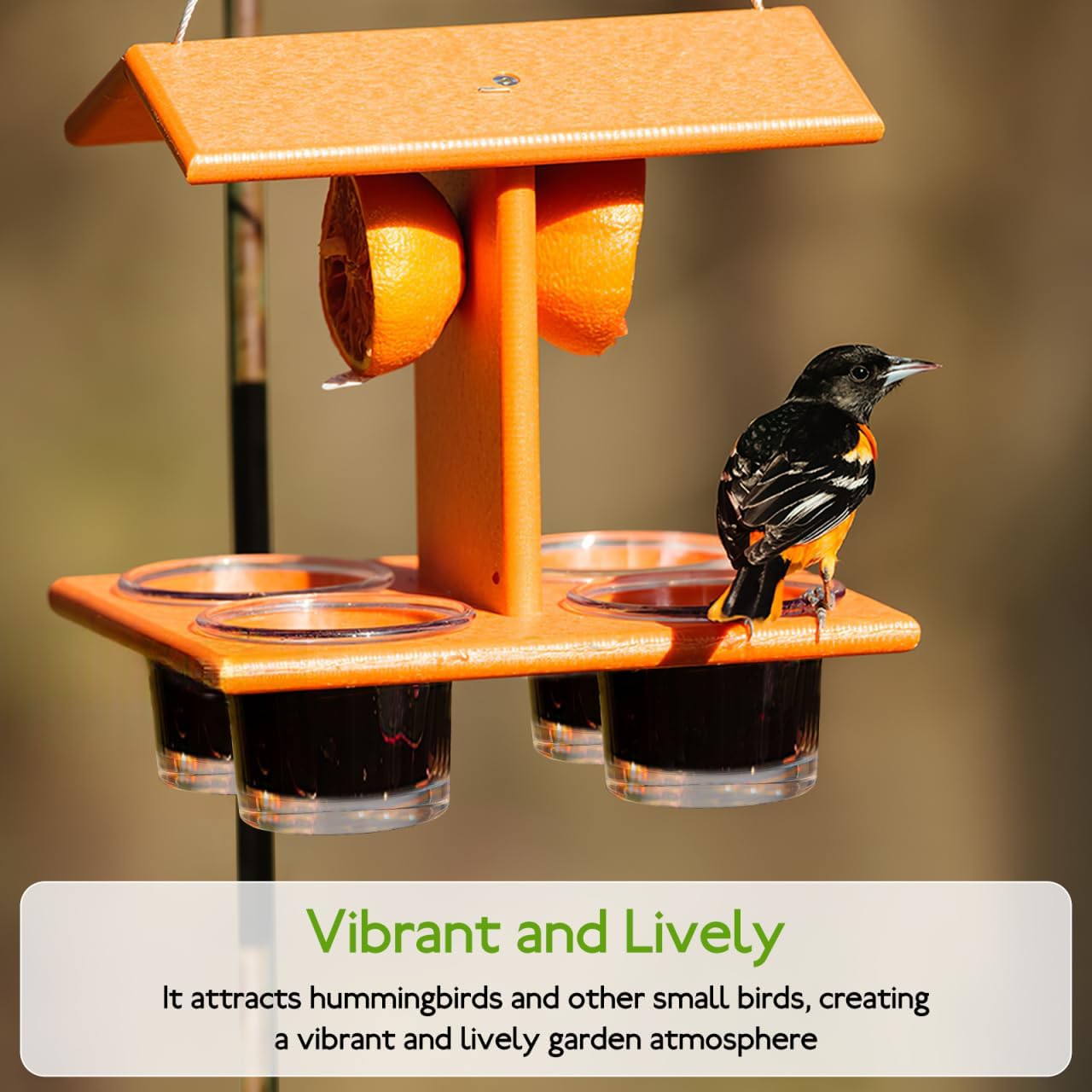 POPETPOP Hanging Bird Feeder Cup Metal Accessory for Outdoor Balcony Window Wild Birds Hummingbird Feeder Part Garden Decor