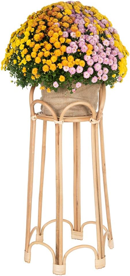 KOUBOO Rattan Loop Indoor Plant Stand, 26 inches, Natural Planter Brown