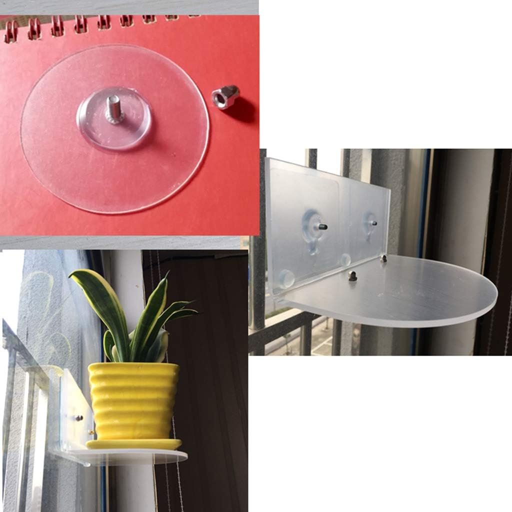 Suction Cup Window Shelf – Create Indoor Garden Hold Your Planter Pots Starter Figurines On Your Window
