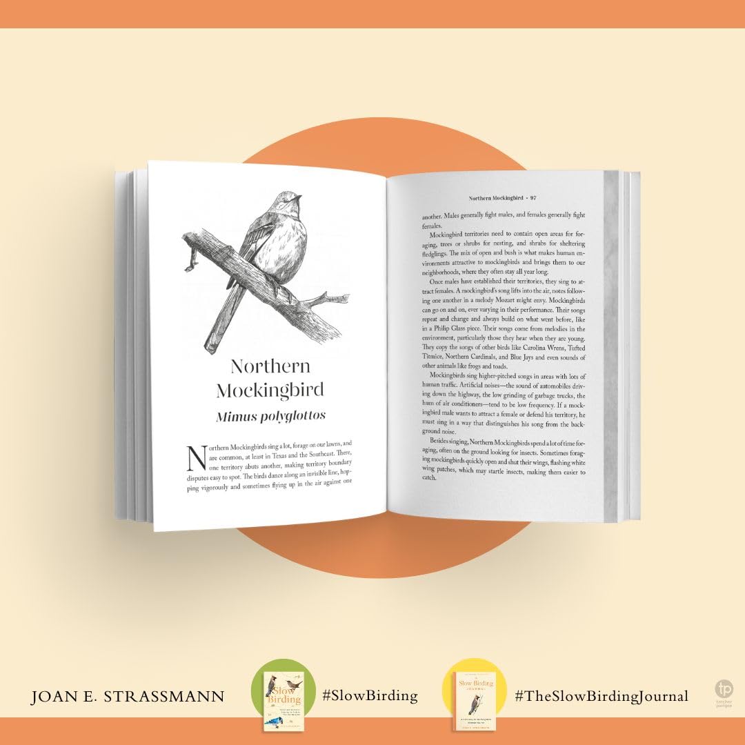 The Slow Birding Journal: A Field Diary for Watching Birds Wherever Yo