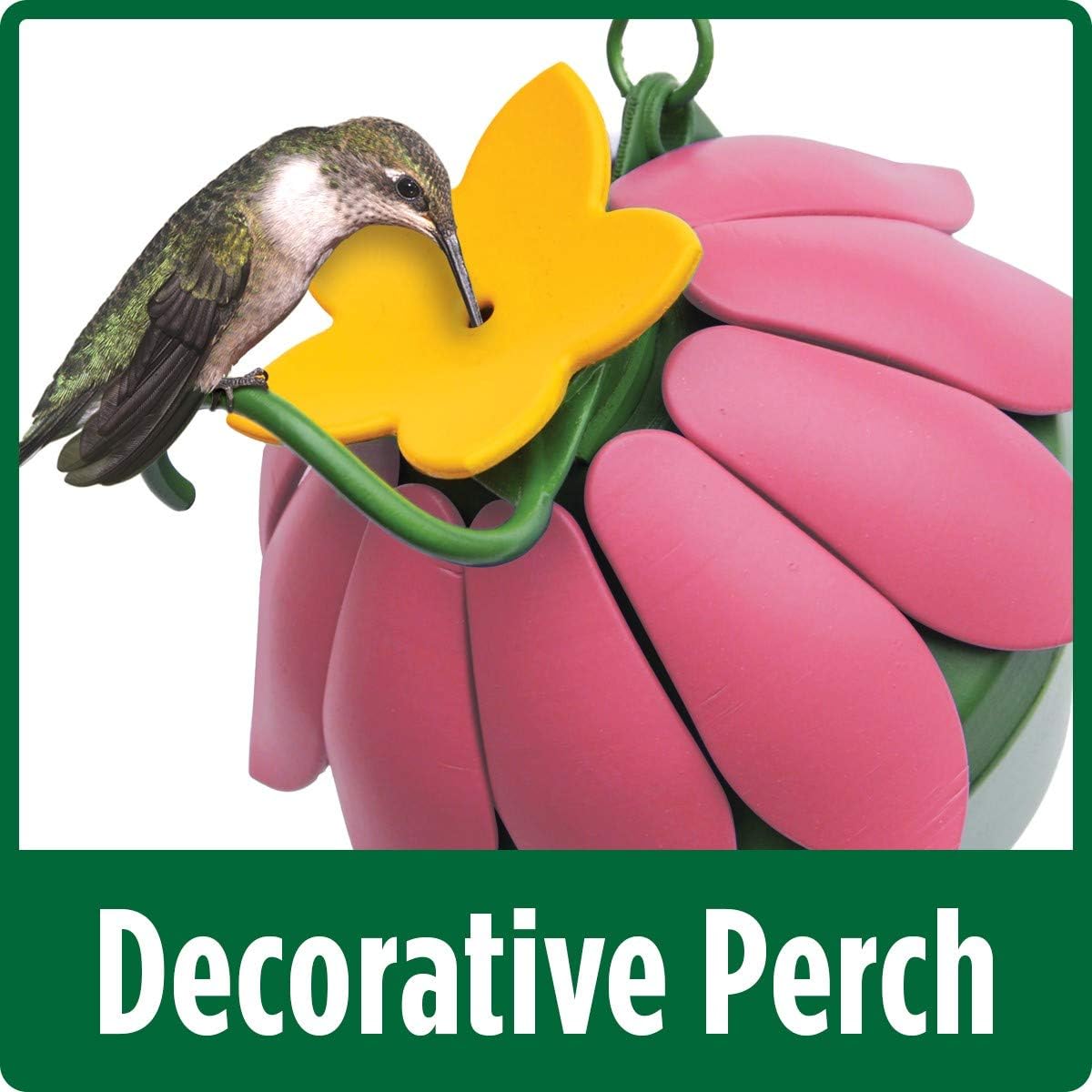 Nature's Way Bird Products SFHF2 So Real Single Flower Hummingbird Feeder, Purple, 4" Dia.