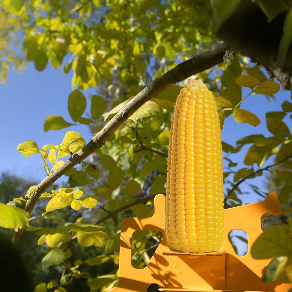 Zenport Z203008 Corn Cob Squirrel and Bird Feeder, Post Mount, Orange
