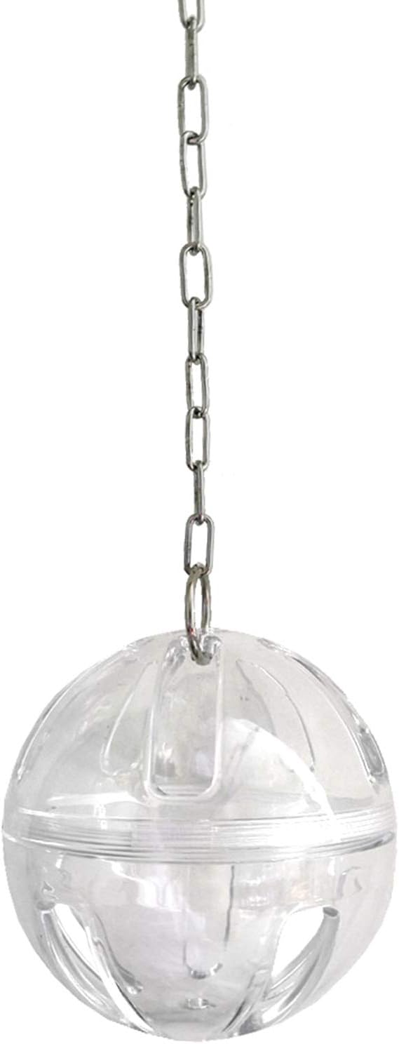 Stainless Steel Bird Hanging Feeder Chicken Hen Food Holder Skewer Foraging Toy