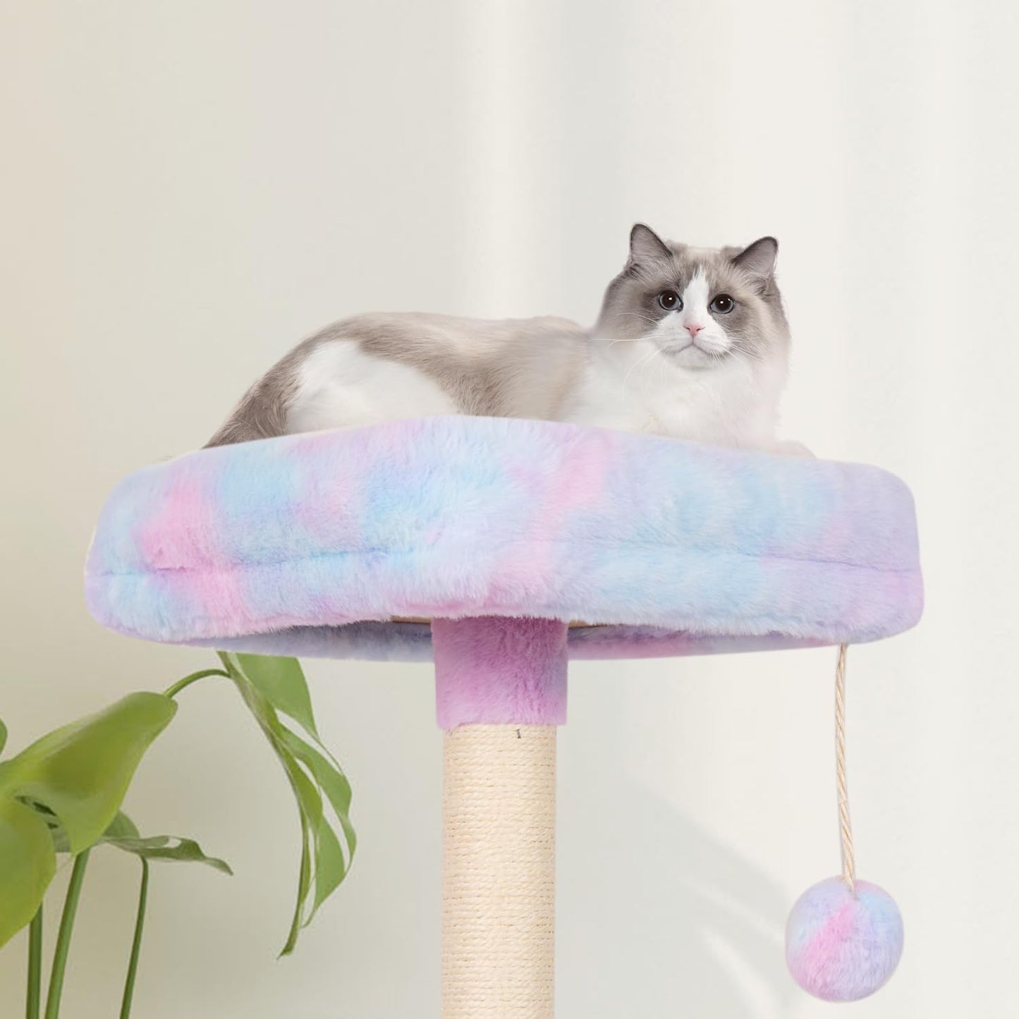 MIAO PAW Rainbow Cute Cat Tree for Indoor Cat Tower with Scratching Po