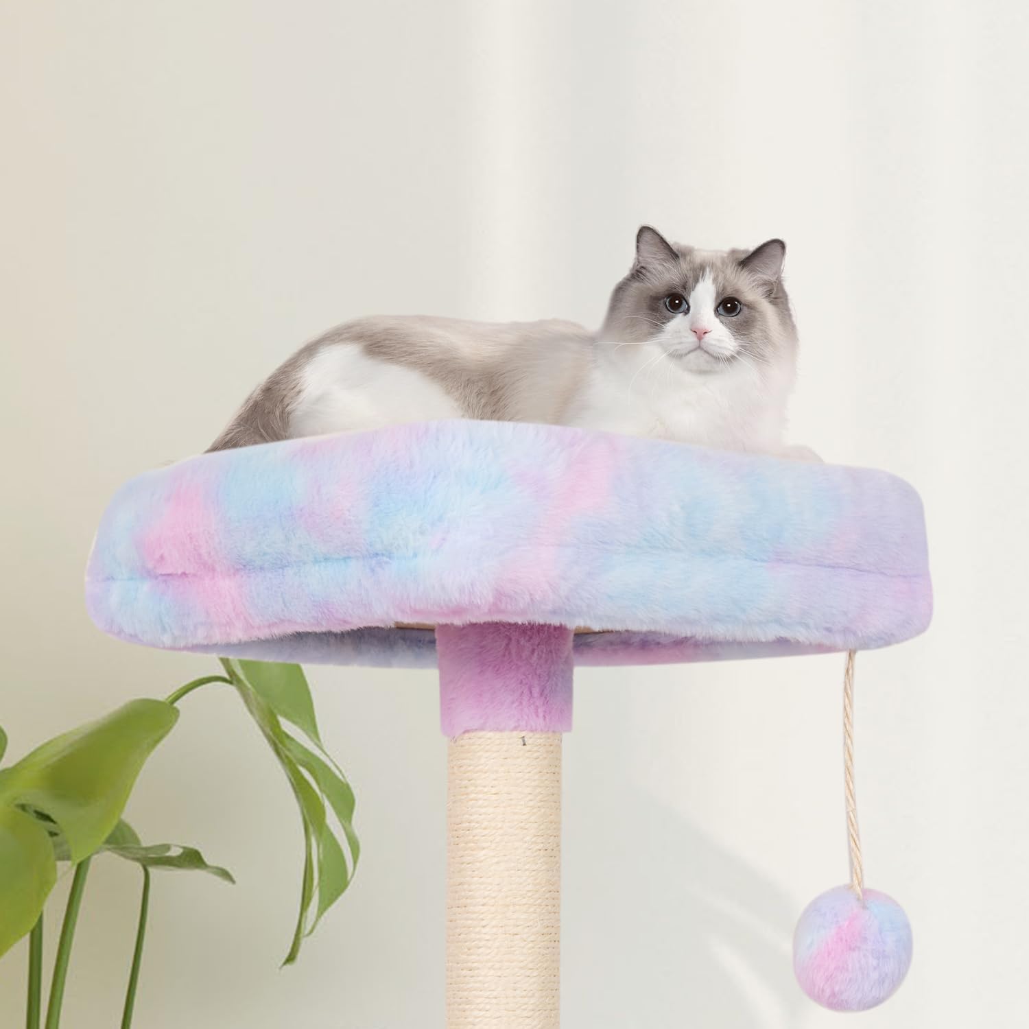 MIAO PAW Rainbow Cute Cat Tree for Indoor Cat Tower with Scratching Po