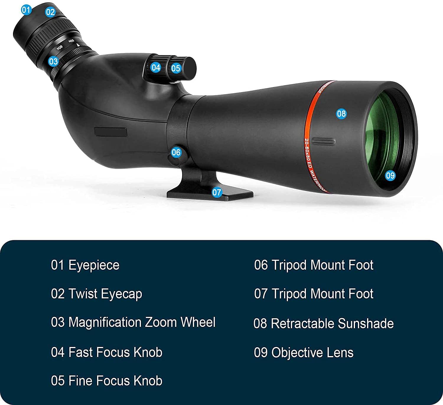 20-60x 80mm ED Spotting Scope for Adults with Smartphone Adapter, Extr