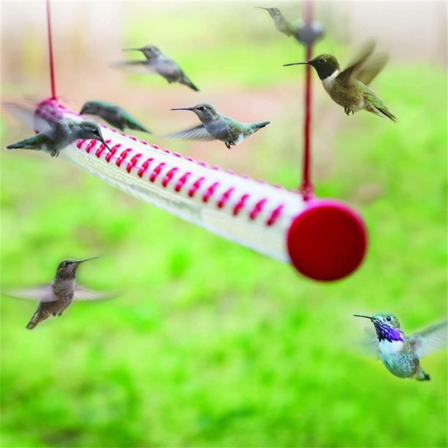 Hummingbird Feeder Transparent Tube Horizontal Hummingbird Feeders for