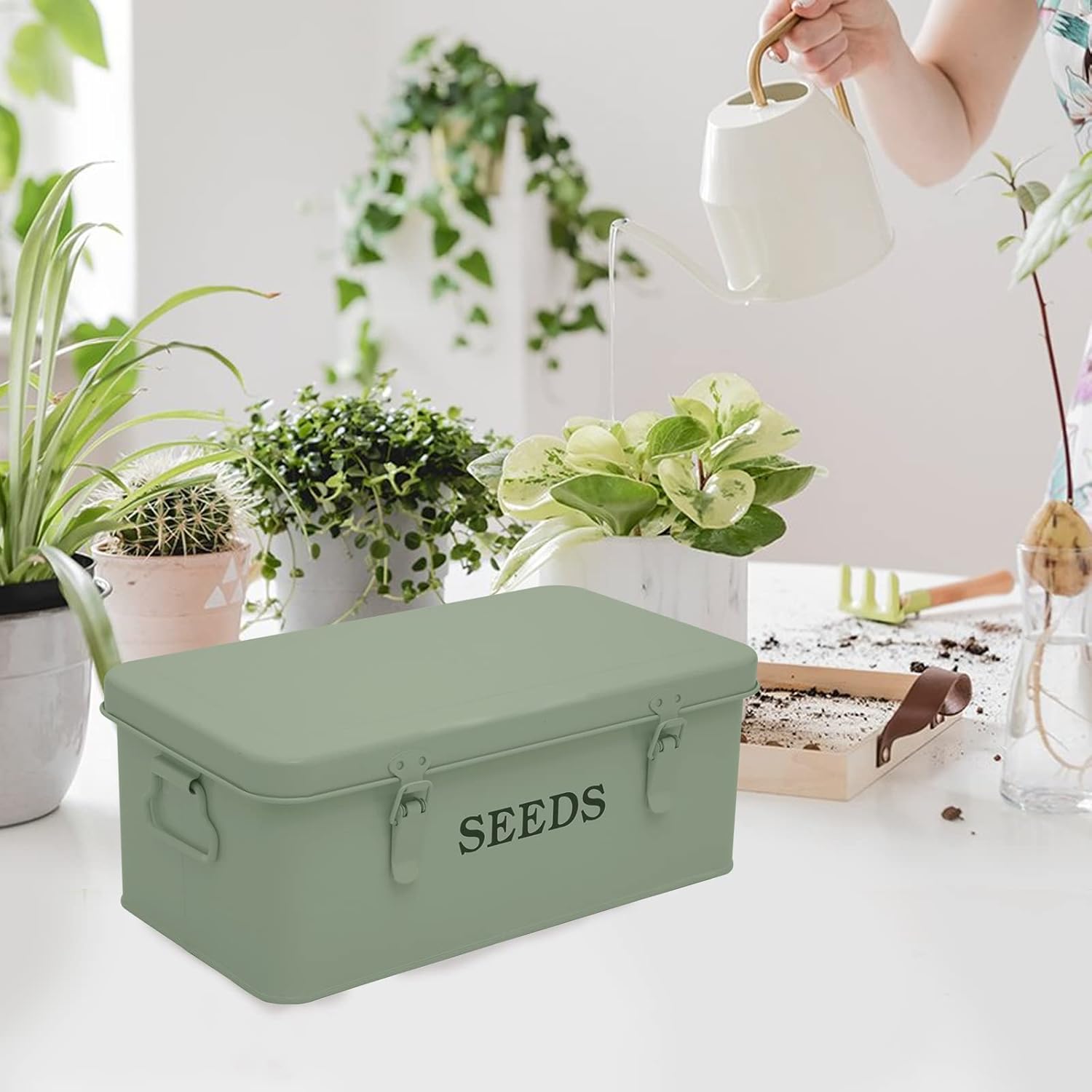 Seed Storage Box Metal Container Organizer, 4-Compartment Garden Seed 