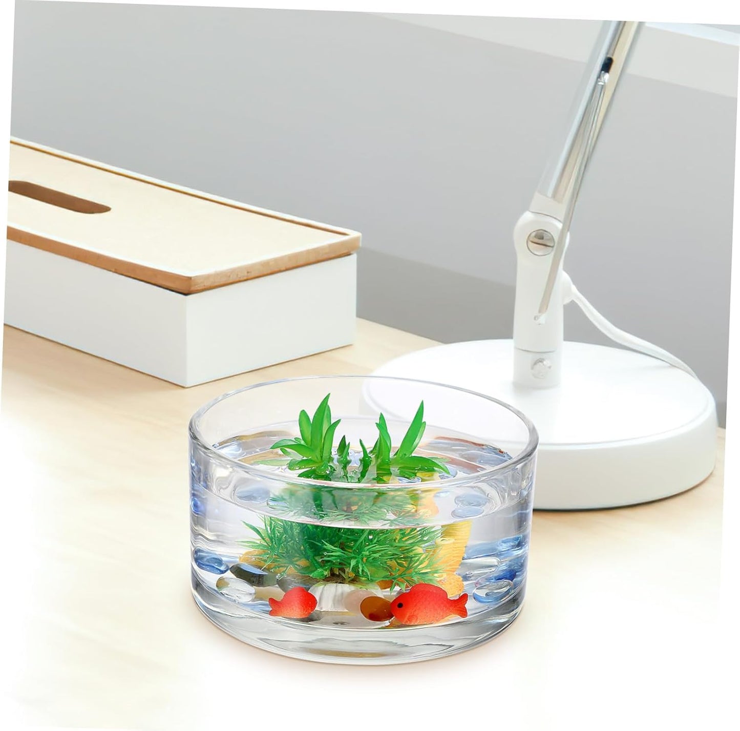 Milisten Glass Flower Vase for Home Decor Multipurpose Round Aquarium 