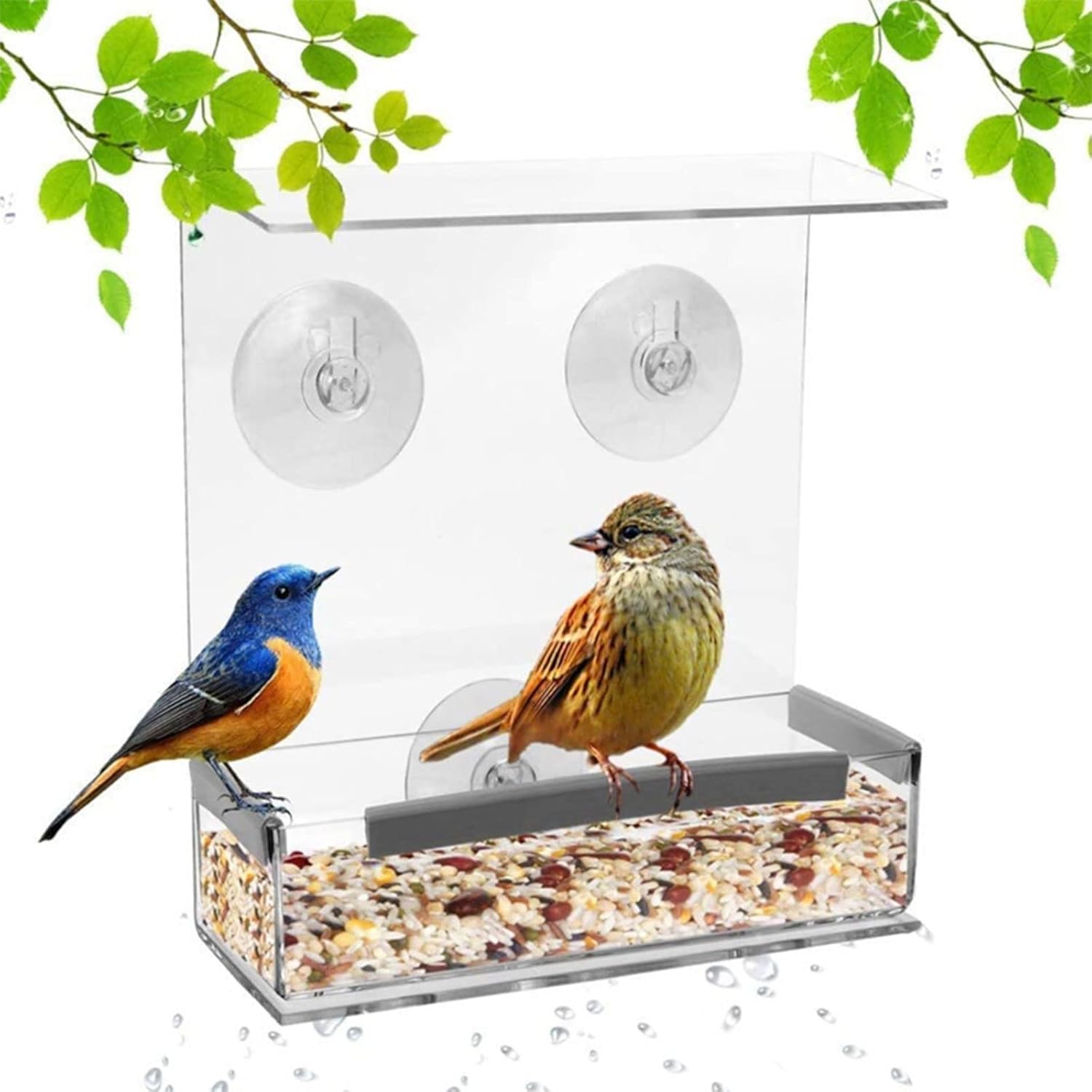 Pet Bird Food Dispenser Parrots Feeder Clear Tray Bird Food Container 