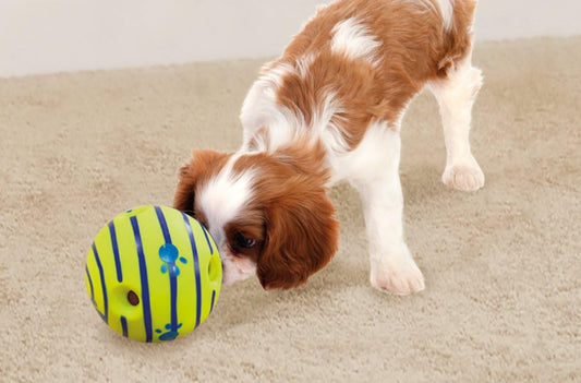 Wobble Wag Giggle Ball | Rolling Enrichment Toy for Fun Playtime, Inte