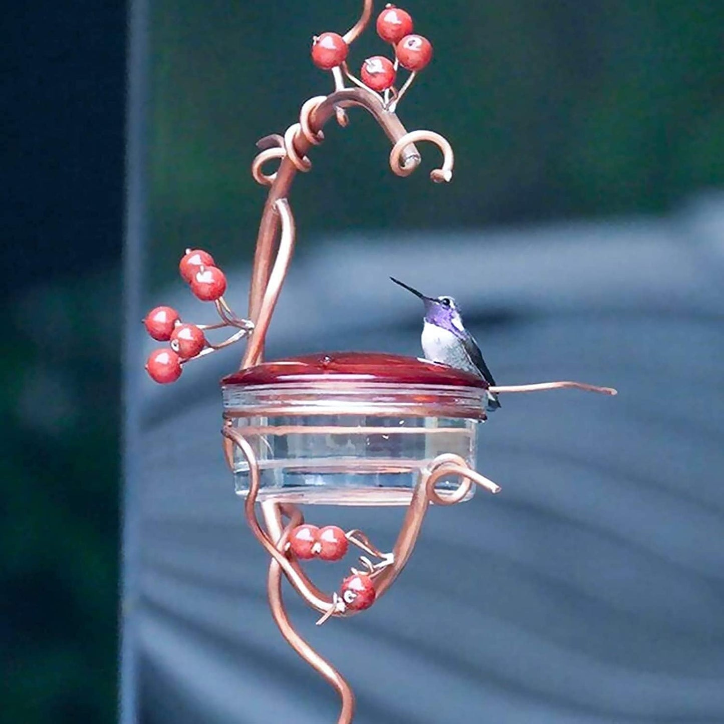 Easy to Clean Hummingbird Feeders for Outdoors Best Hummingbird Feeder Suitable for Watching Birds Up Close Spring Summer Decor Bird Feeder